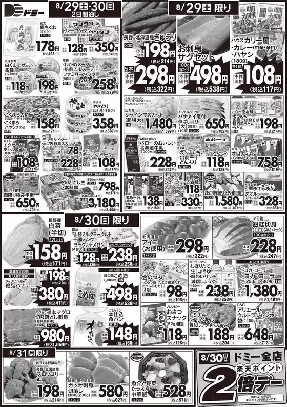 main_flyer image