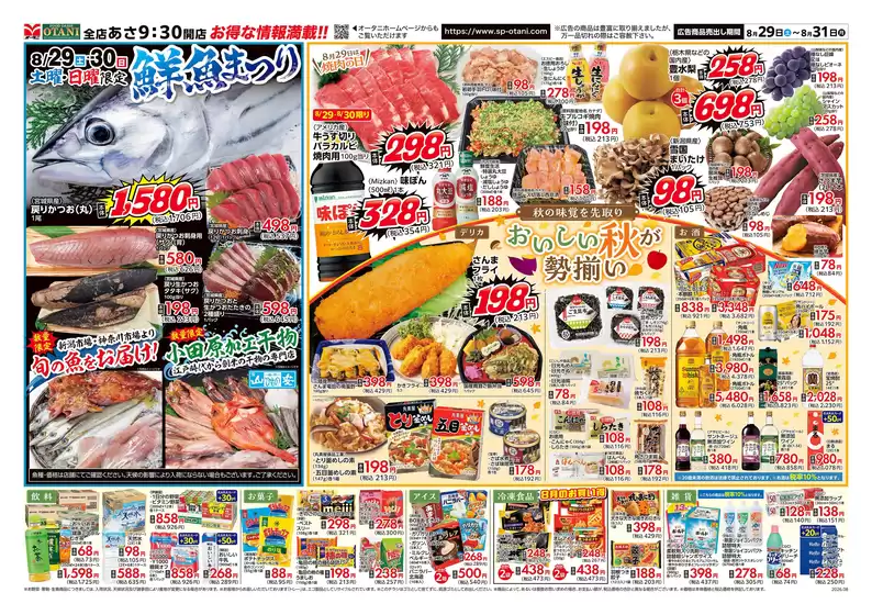 main_flyer image