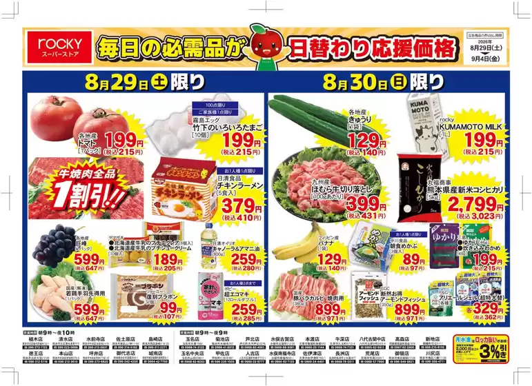main_flyer image