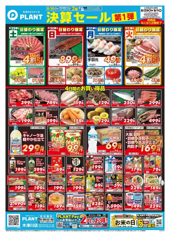スーパーセンタープラントのカタログ | 現在の取引とオファー | 2026-08-29T00:00:00.000Z - 2026-09-01T00:00:00.000Z
