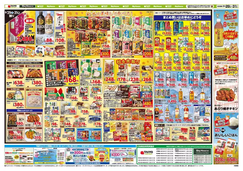 main_flyer image