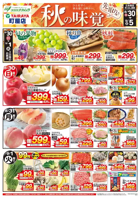 main_flyer image