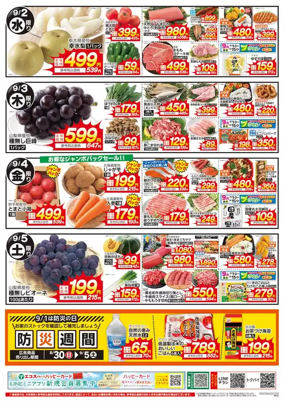 main_flyer image