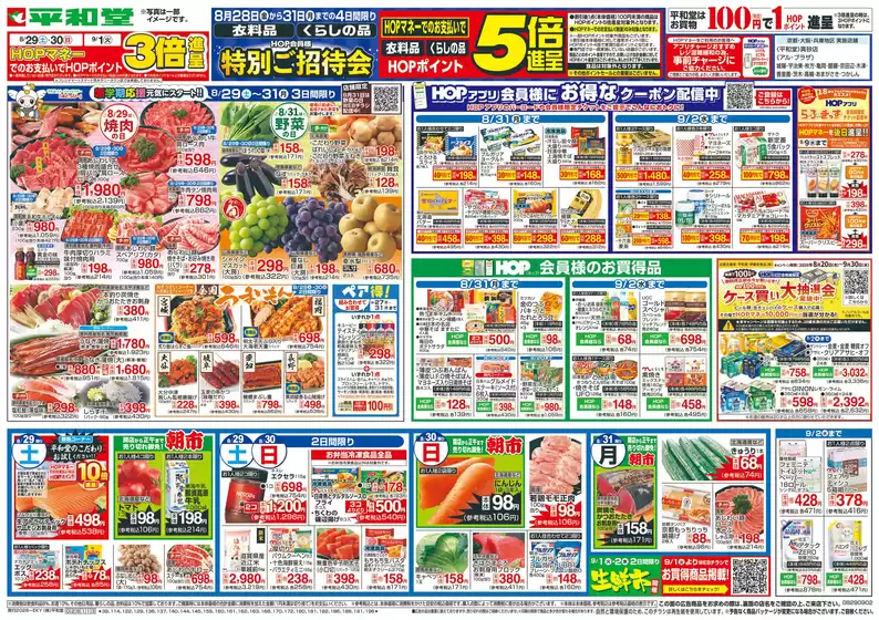 main_flyer image