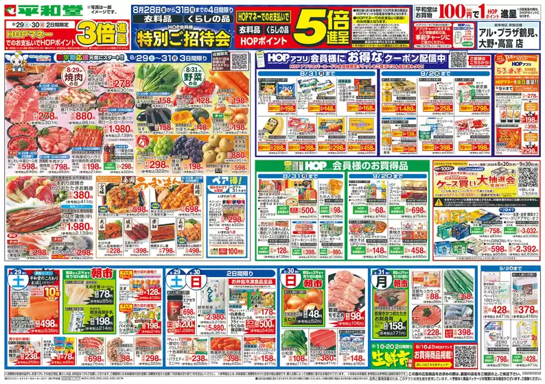 main_flyer image