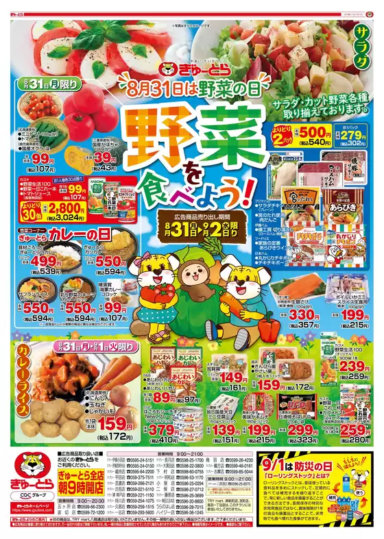 main_flyer image