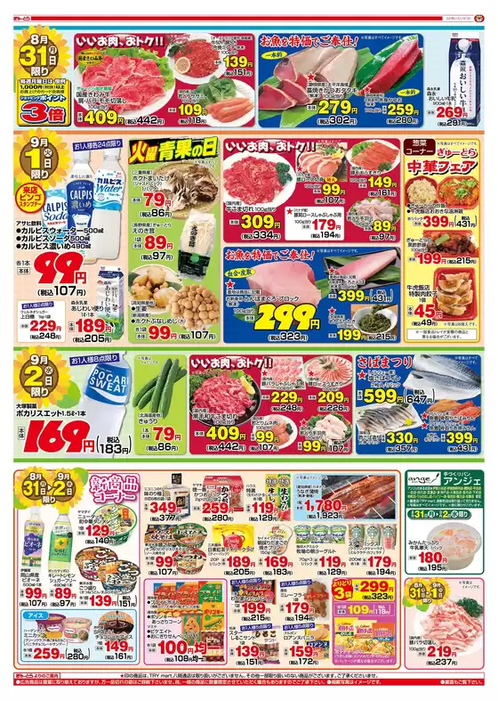main_flyer image