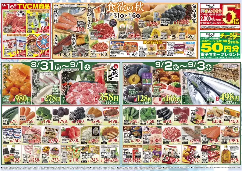 ダイイチのカタログ | あなたのための私たちの最高のオファー | 2026-08-31T00:00:00.000Z - 2026-09-06T00:00:00.000Z