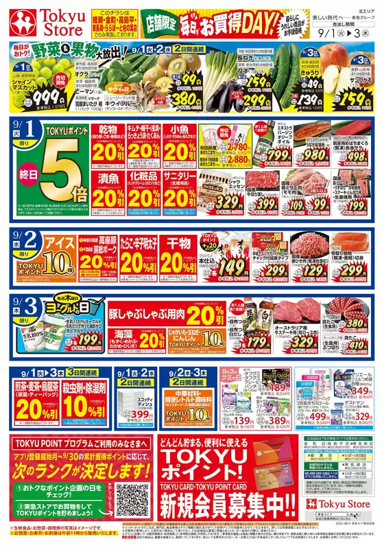 東急ストアのカタログ | 豊富なオファーの選択 | 2026-08-31T00:00:00.000Z - 2026-09-03T00:00:00.000Z