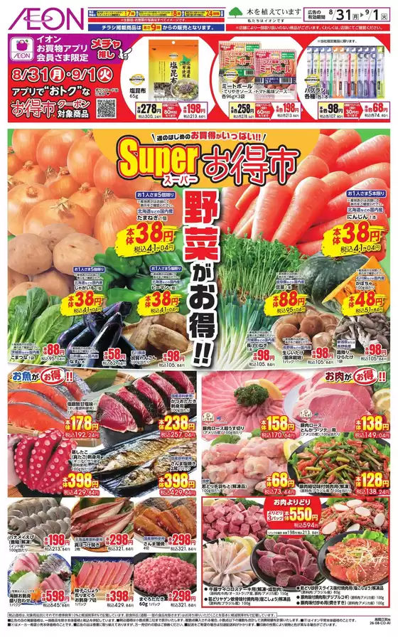 main_flyer image