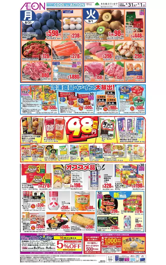 main_flyer image