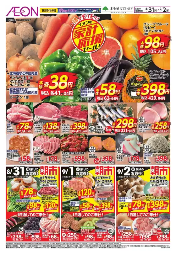 main_flyer image