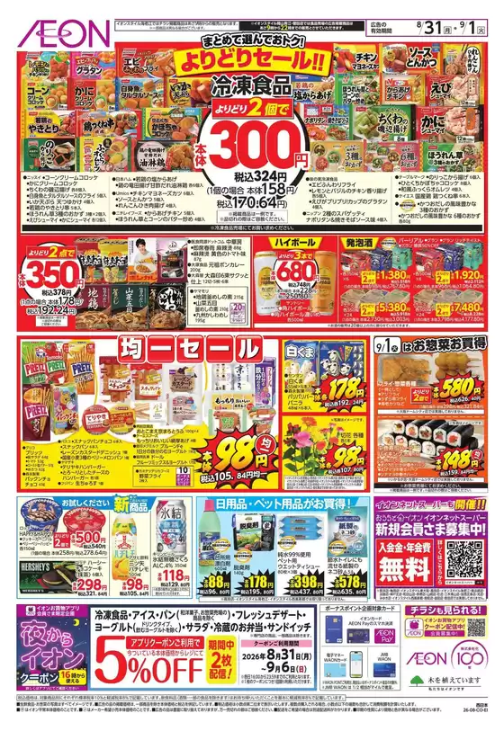 main_flyer image