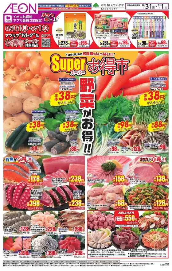 main_flyer image