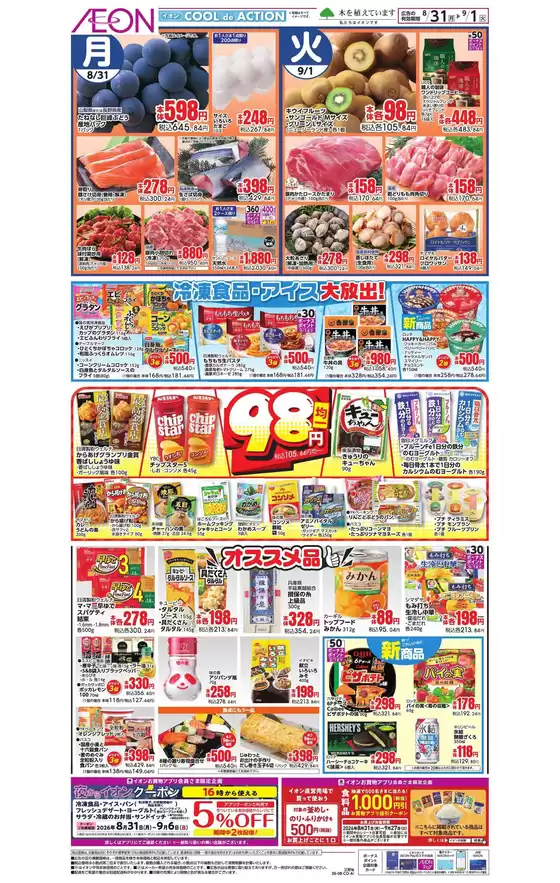 main_flyer image