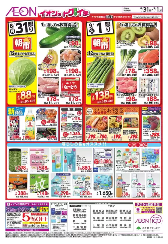 main_flyer image