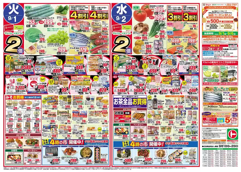 main_flyer image