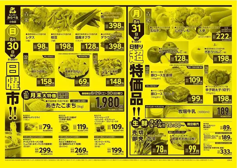 main_flyer image
