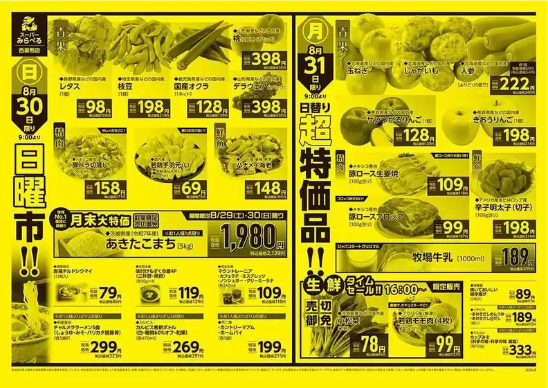 main_flyer image