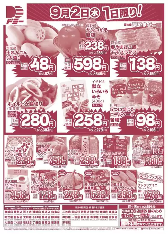 main_flyer image