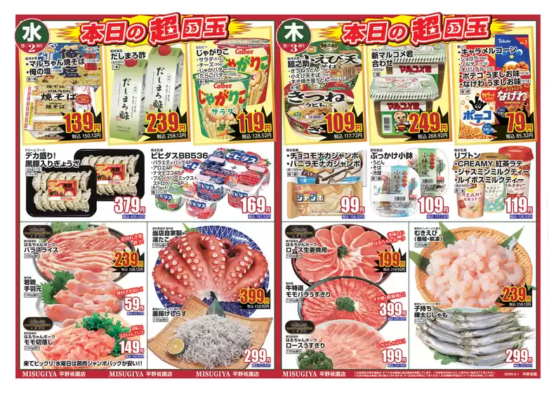 main_flyer image
