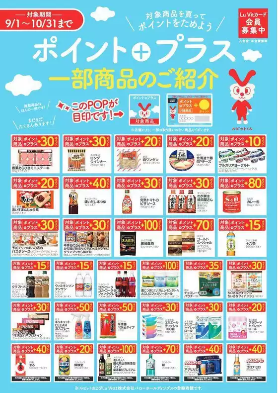 main_flyer image