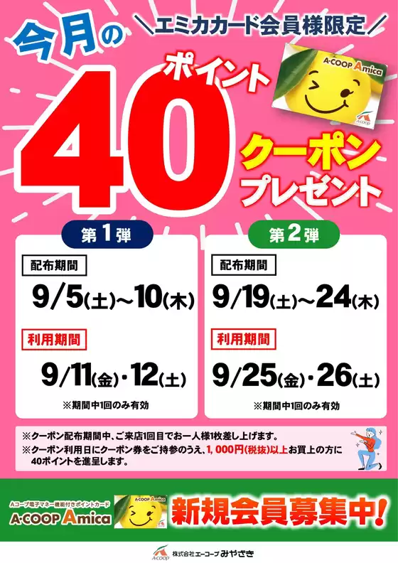 エーコープみやざきのカタログ | 現在の掘り出し物とオファー | 2026-09-05T00:00:00.000Z - 2026-09-26T00:00:00.000Z