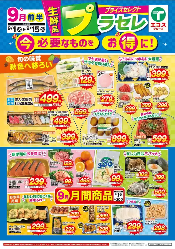 main_flyer image