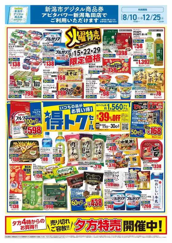 main_flyer image