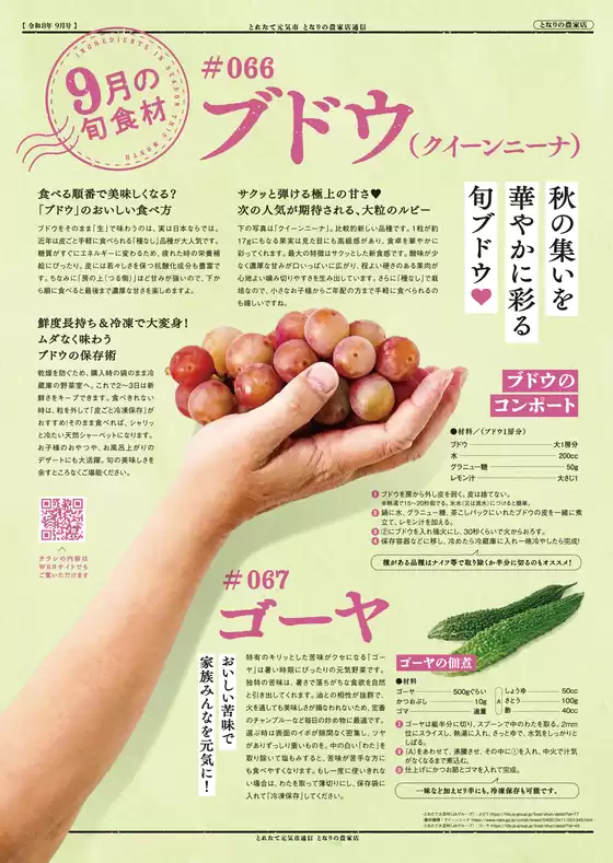 main_flyer image