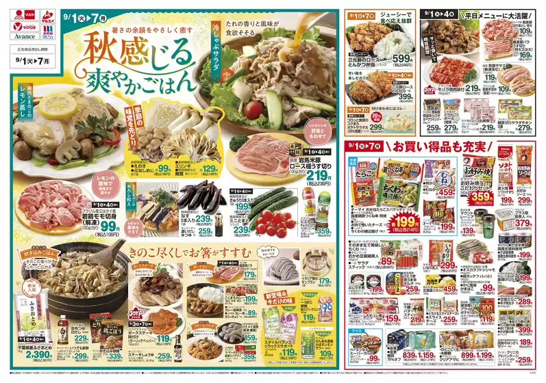 main_flyer image