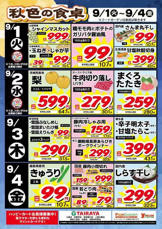 main_flyer image