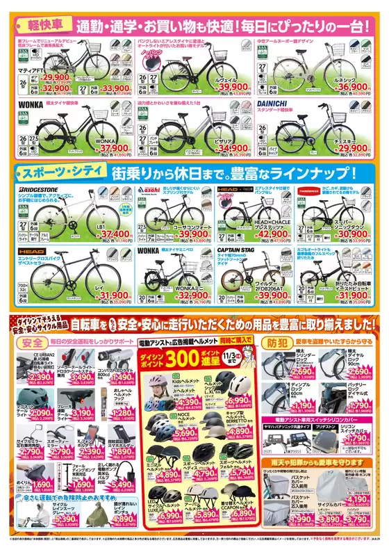 main_flyer image