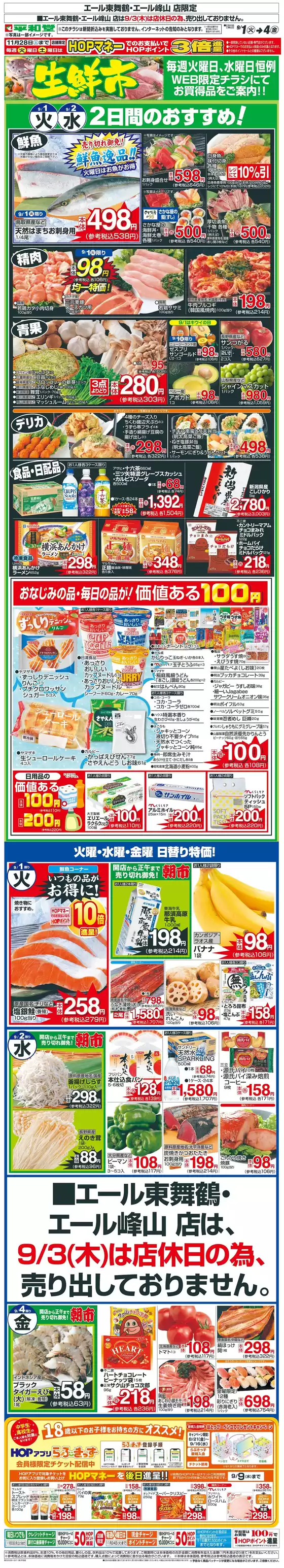 main_flyer image