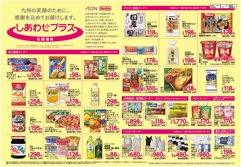main_flyer image