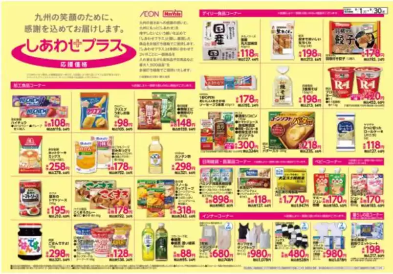 main_flyer image