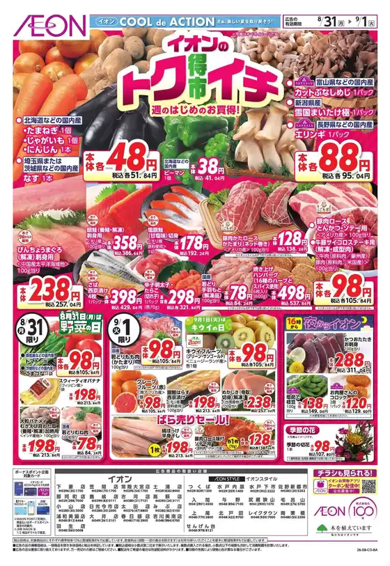 main_flyer image