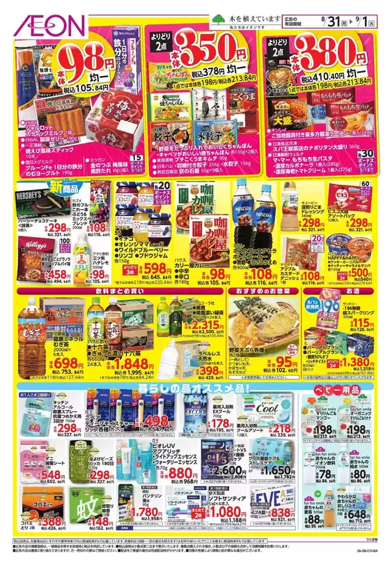 main_flyer image
