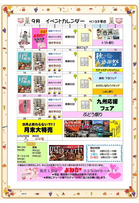 サンヨネのカタログ | 私たちの最高の掘り出し物 | 2026-09-01T00:00:00.000Z - 2026-09-30T00:00:00.000Z