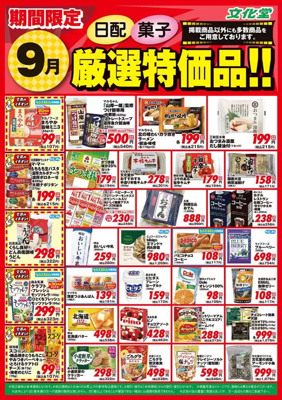 main_flyer image