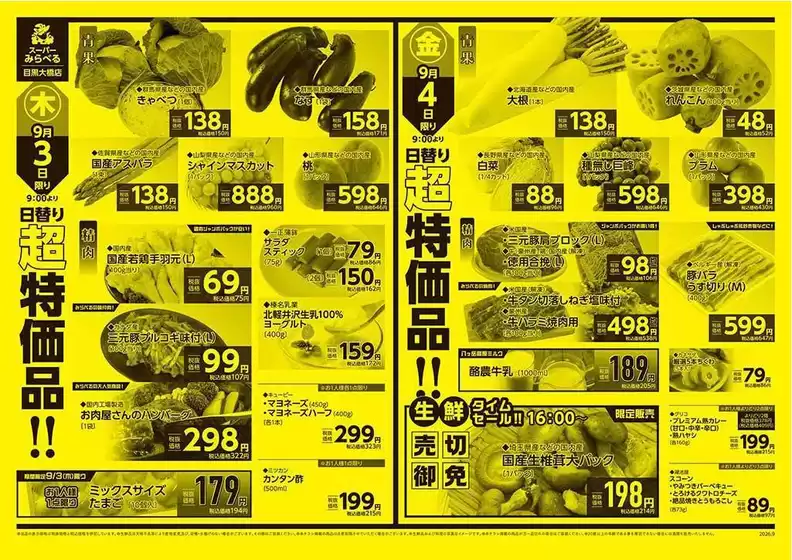 main_flyer image