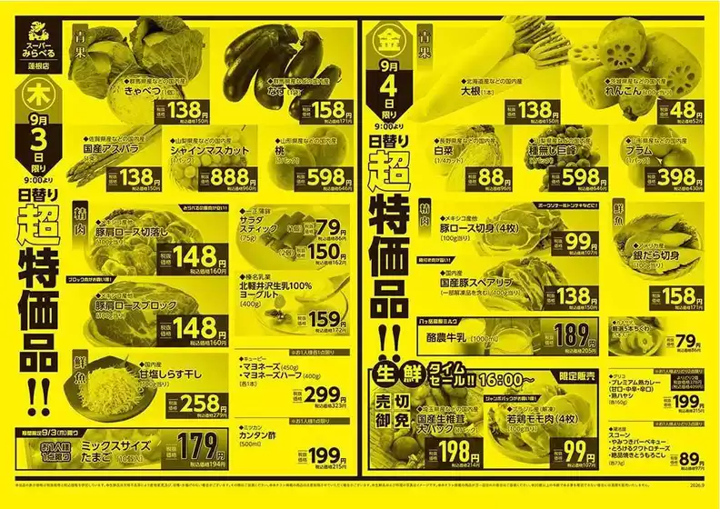 main_flyer image
