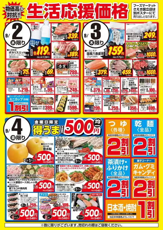 main_flyer image