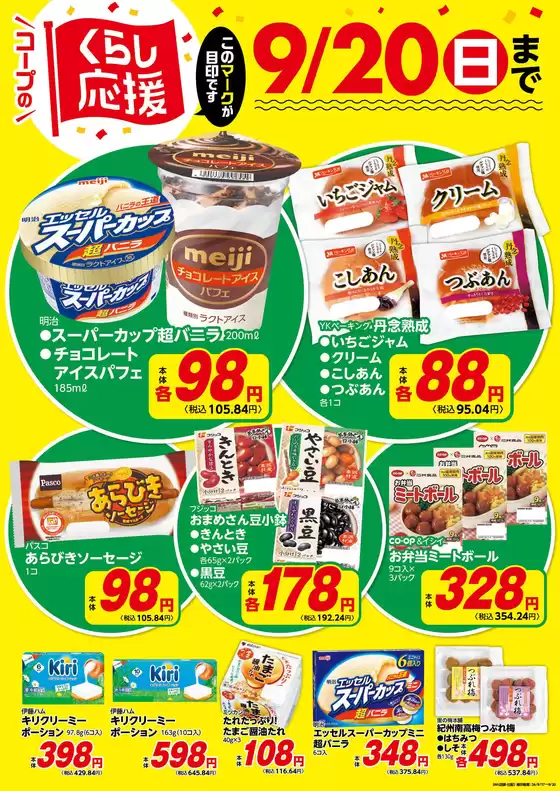main_flyer image