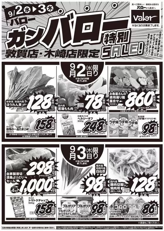 main_flyer image