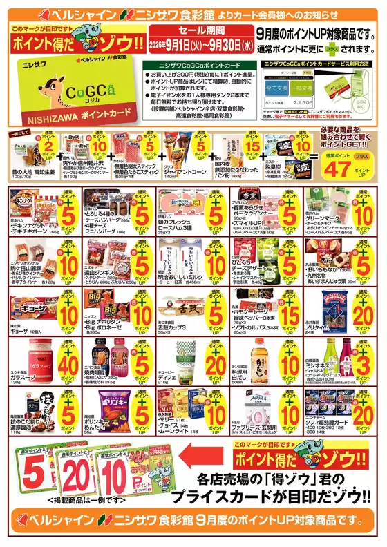 main_flyer image