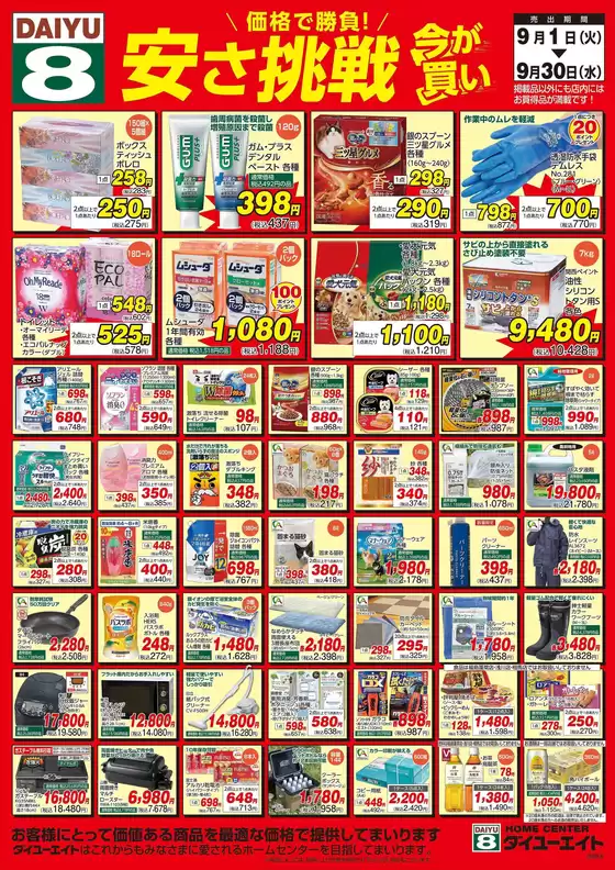 main_flyer image