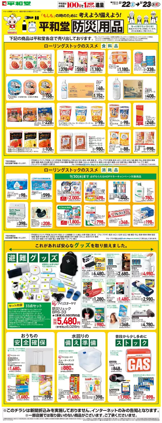 main_flyer image