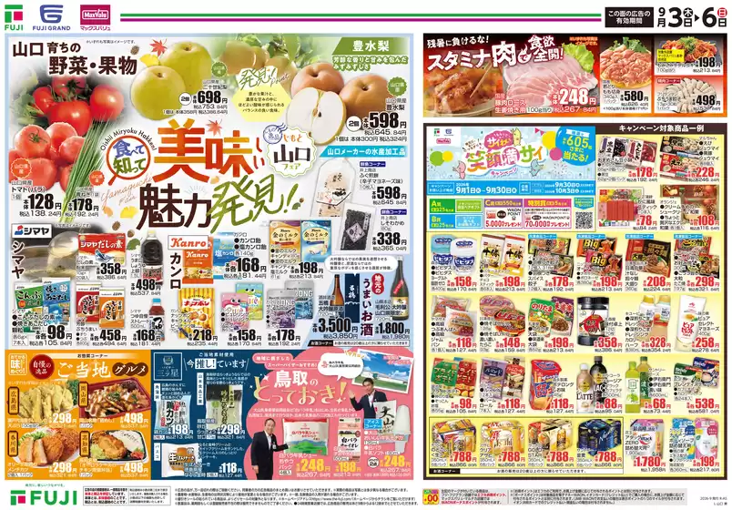 main_flyer image