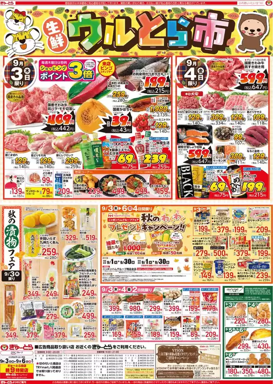 main_flyer image